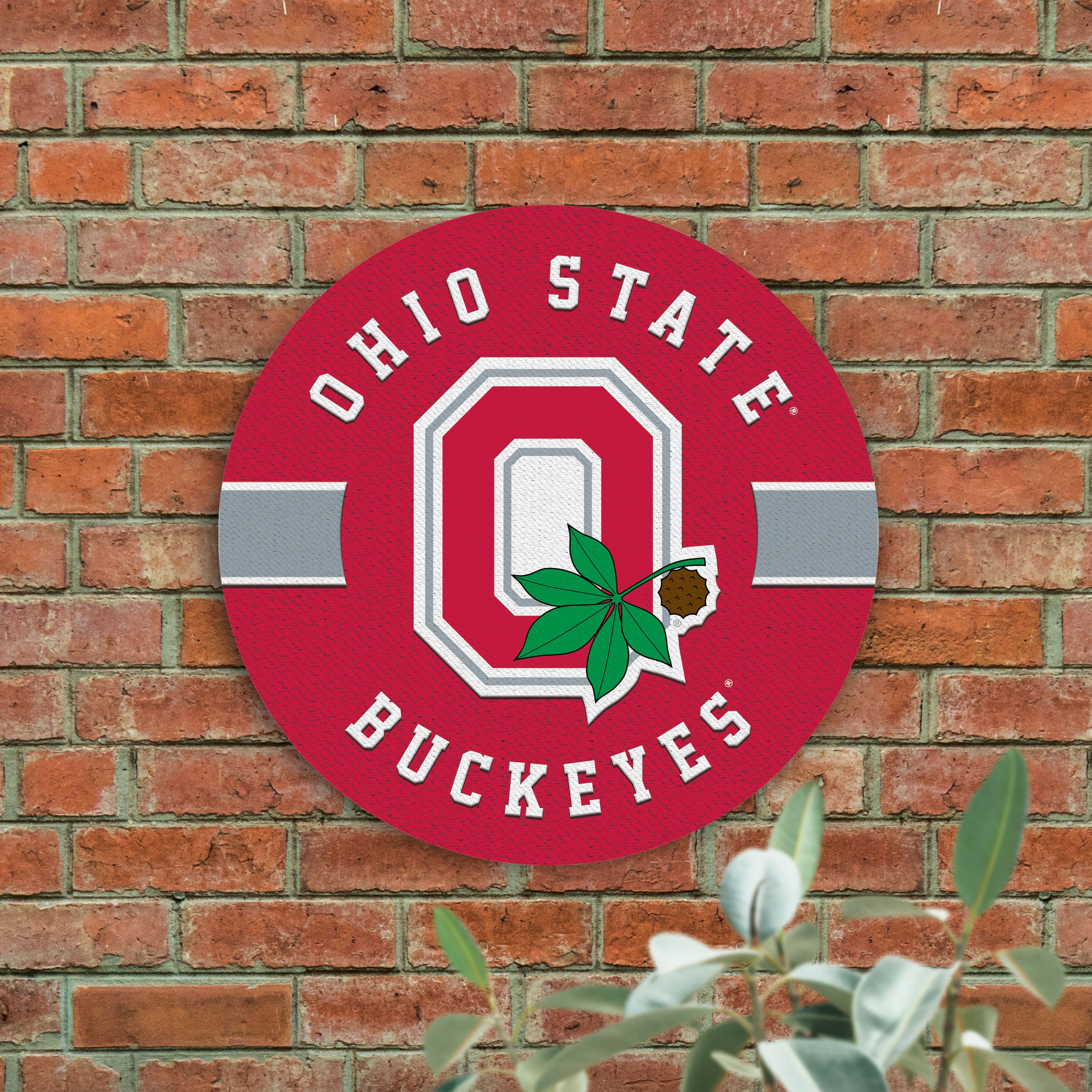  P. Graham Dunn Ohio State University Buckeyes Logo 11