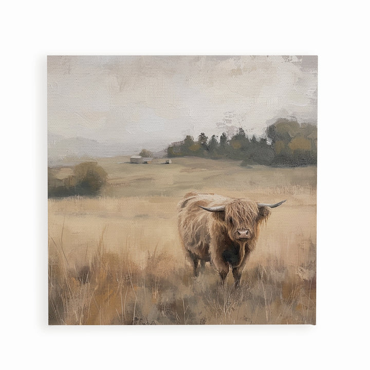 Highland Cow Canvas