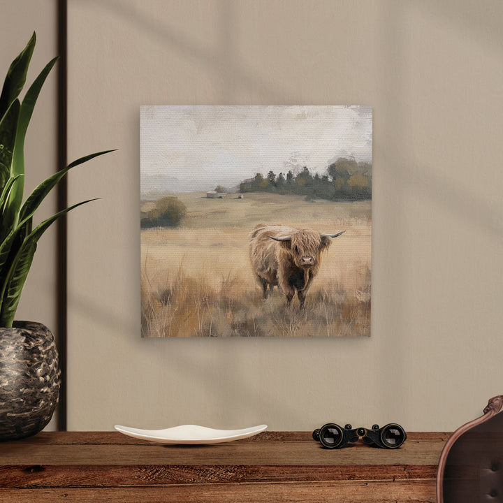 Highland Cow Canvas