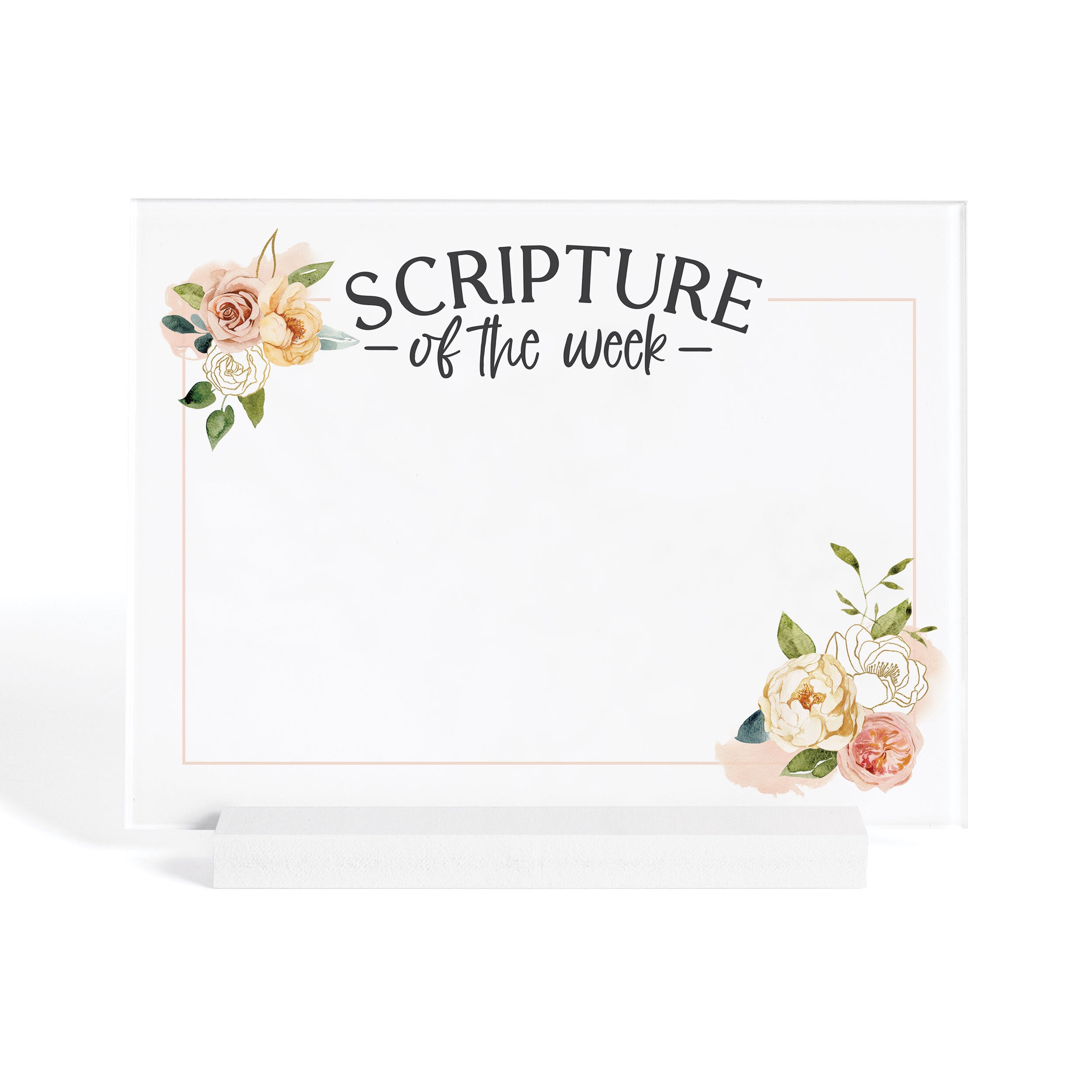 Verse of the Week l Magnetic Dry Erase Sheet